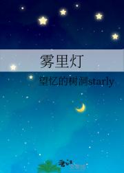 雾里灯