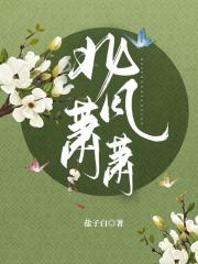 北风萧萧