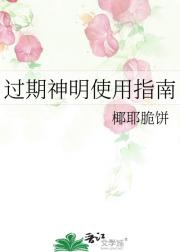 过期神明使用指南