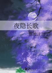 夜隐长歌