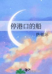 停港口的船