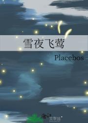 雪夜飞莺
