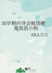 30岁剩向导会被塔硬塞流浪小狗
