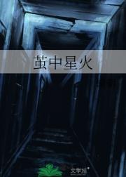 茧中星火