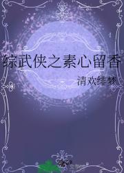 综武侠之素心留香