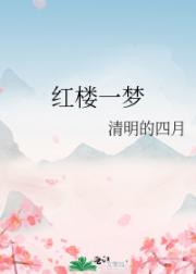 红楼一梦