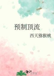 预制顶流