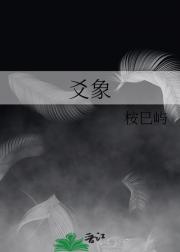 爻象