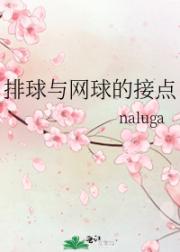 排球与网球的接点