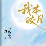 我本皎月