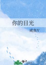 你的目光