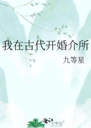 我在古代开婚介所