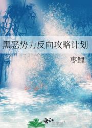 黑恶势力反向攻略计划