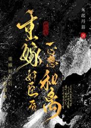 重嫁奸臣