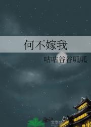 何不嫁我