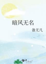 暗风无名