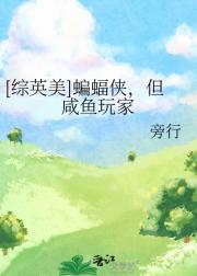 ［综英美］蝙蝠侠，但咸鱼玩家