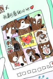 奶牛猫，但前任是比格