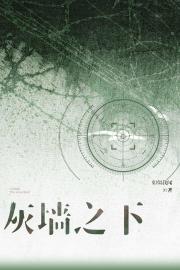 灰墙之下