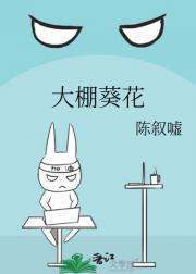 大棚葵花