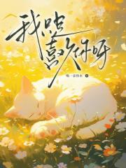 我只是喜欢你呀［双O］