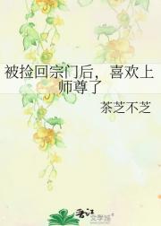 被捡回宗门后，喜欢上师尊了