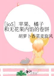 ［jo5］苹果、橘子和无花果内馅的卷饼