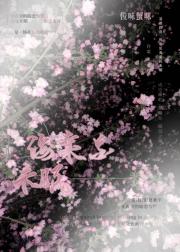 海棠花未眠