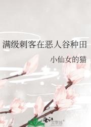 满级刺客在恶人谷种田