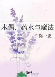 木偶、药水与魔法