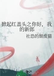 掀起红盖头之你好，我的新郎