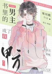 书里的男主成了我甲方