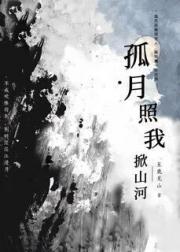 孤月照我掀山河