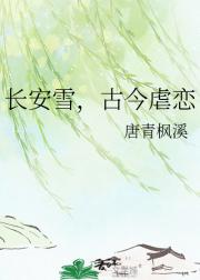 长安雪，古今虐恋