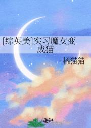 综英美在哥谭变成猫的日子