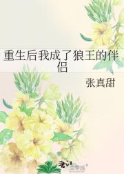 眠于星光下