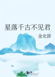 星落千古不见君