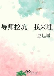 导师挖坑，我来埋