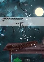 盗贼公主的病娇xs养成指南