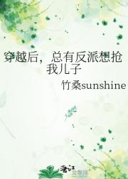 穿越后，总有反派想抢我儿子