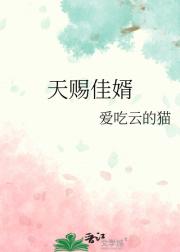 天赐佳婿