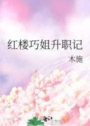 红楼巧姐升职记