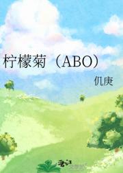 柠檬菊（ABO）