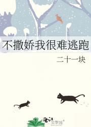 小王爷要饭实录