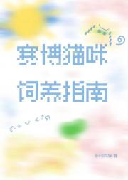 赛博猫咪饲养指南