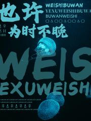 也许为时不晚