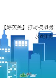 【综英美】打劫模拟器