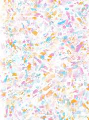 穿成宫野明美后[名柯]