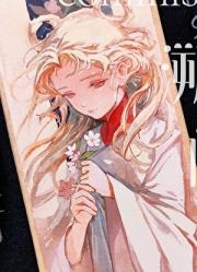 星际四傻大战仙侠虐文