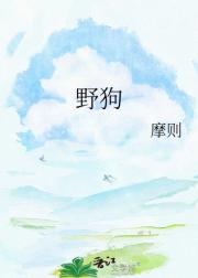 野狗